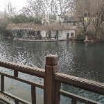 凤梧–006