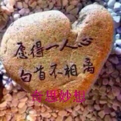 香荷碧水动风凉主播照片