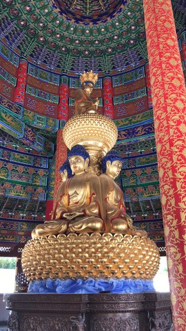 沉默de小草主播照片