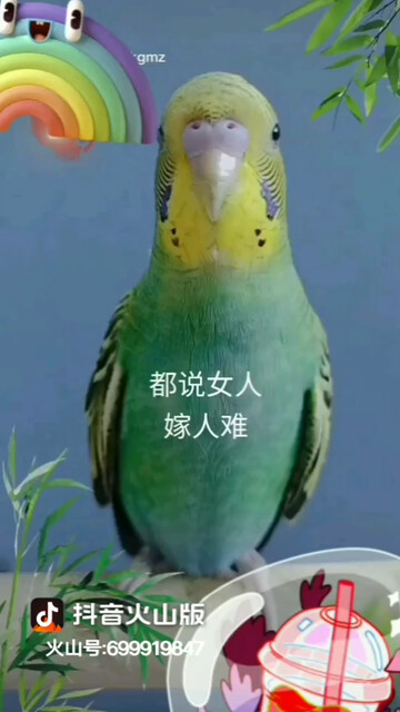做个自由人
