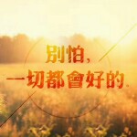 长河无限人却百年