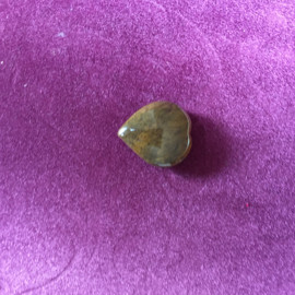 荷溢清流1dipwz主播照片