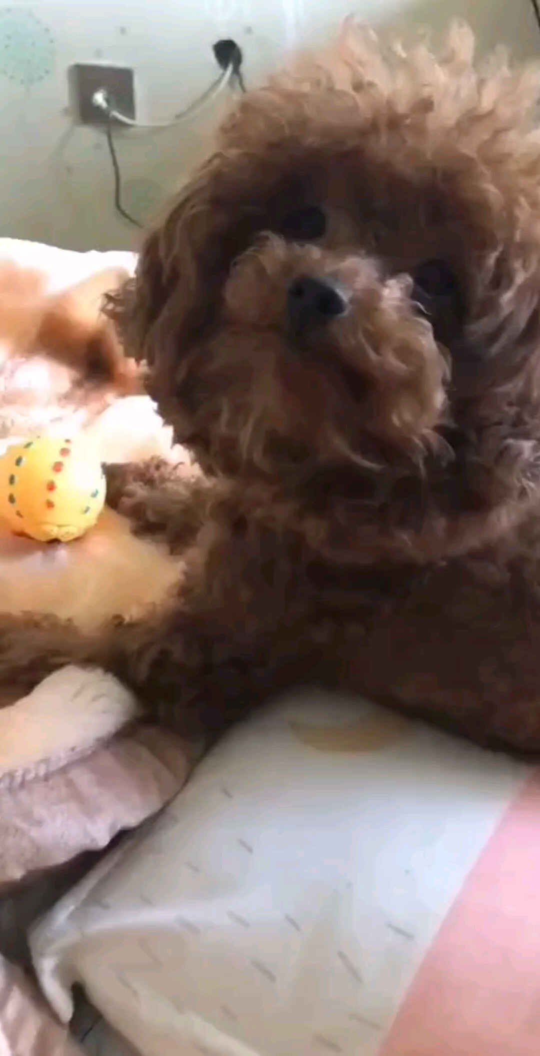 肉肉😁😁😁