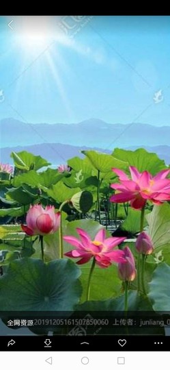 少藝夫主播照片