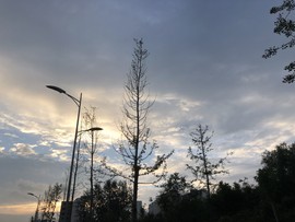 是琳琳呢主播照片