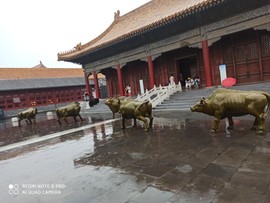 阿冯户外《北京》主播照片