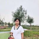 杨琴0d