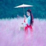 一地鸡毛..主播照片