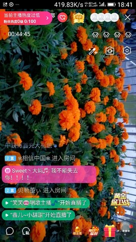 千容女郎主播照片