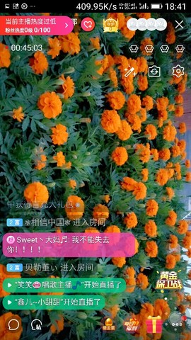 千容女郎主播照片