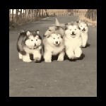 人生路，迷茫寻找
