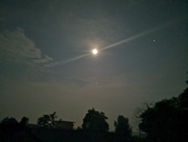 夏开心主播照片