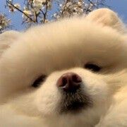 眞芯实意主播照片