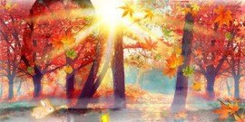 蒙多～主播照片