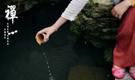 დ释怀დ主播照片