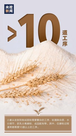 拾月★October主播照片