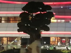 明于理主播照片