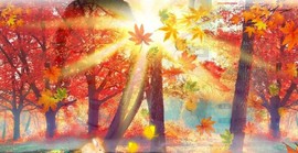 蒙多～主播照片