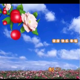 宁夏的白哥主播照片