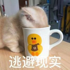 肥肥小豆芽😈退了主播照片