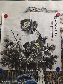 程建永主播照片