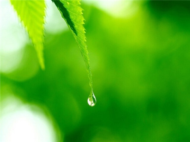 ♪七色彩虹♫🎤的主播照片
