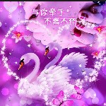 思念。💁🙋头像