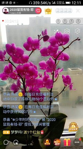 千容女郎主播照片