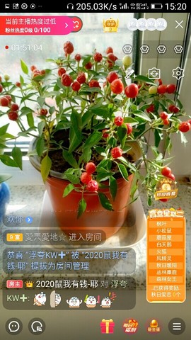 千容女郎主播照片
