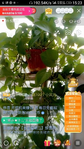 千容女郎主播照片