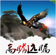 此栏省略主播照片