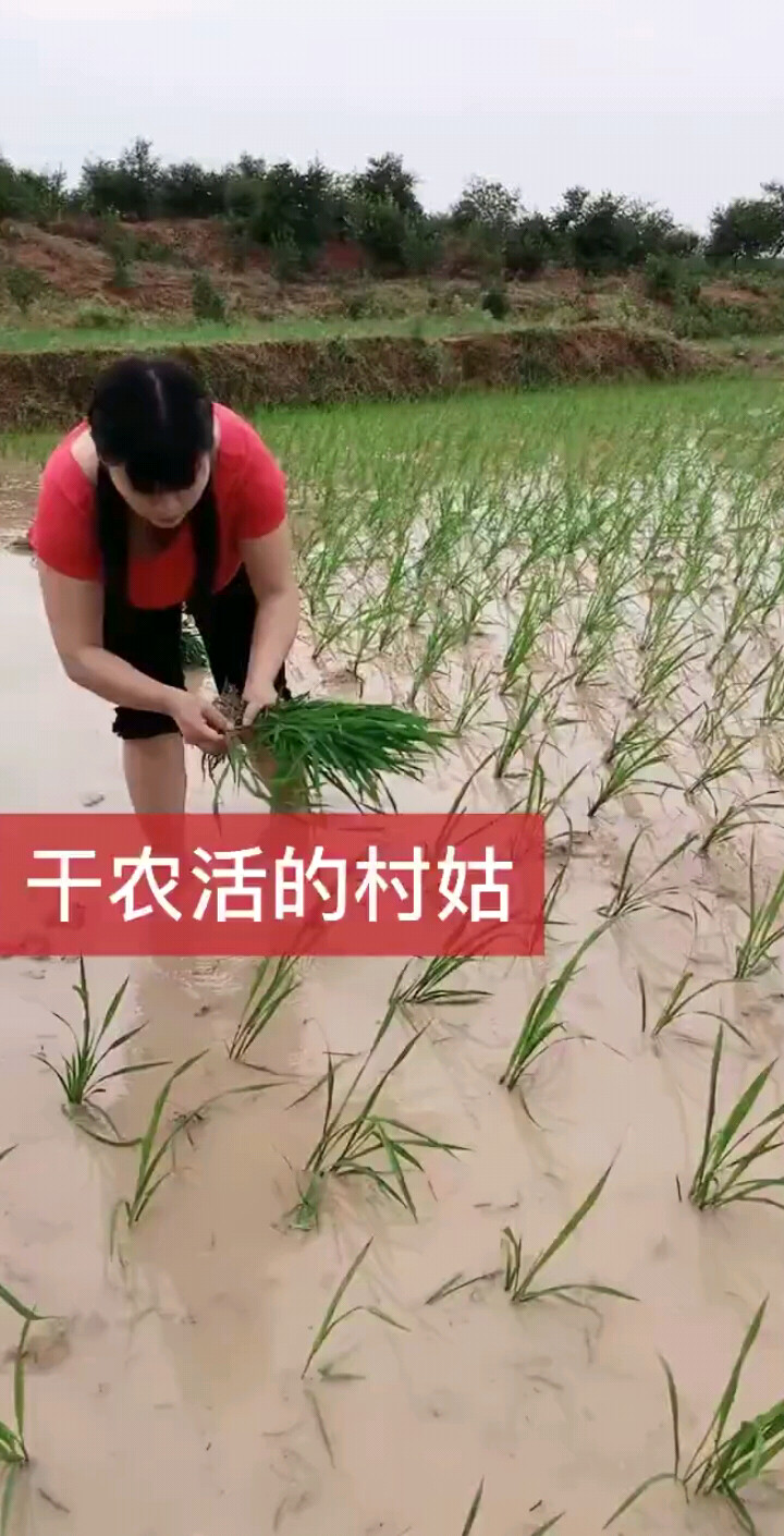 光辉岁月