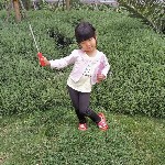 ①苼旳约定