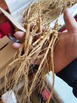 参乡小哥主播照片