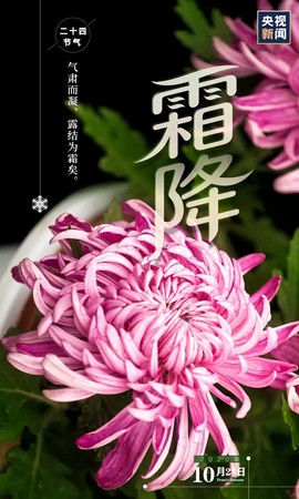 拾月★October主播照片