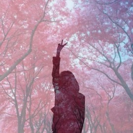 与爱相伴💞主播照片