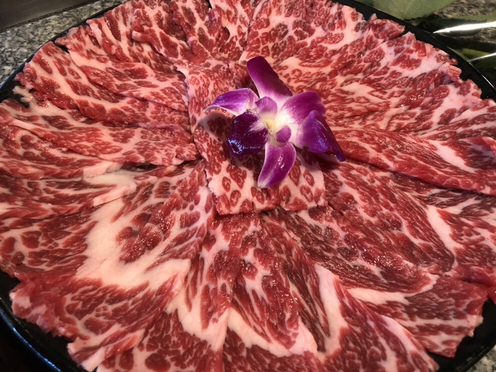 广東心理军師的主播照片