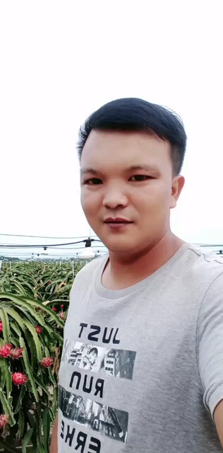 摘火龙果了，有没有要