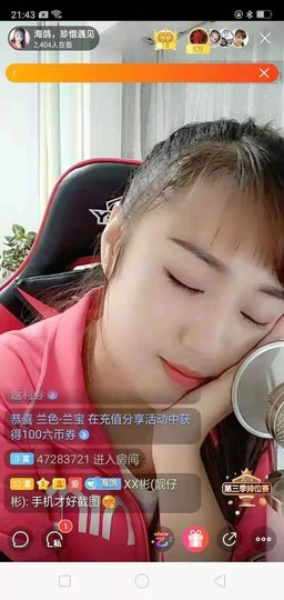 海鸽晚上见主播照片
