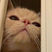 是笑笑-
