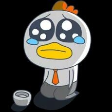 王丽13主播照片