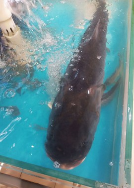 ♬默默✨小蛮宝☞🌜主播照片