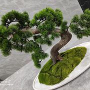 來生有缘再见