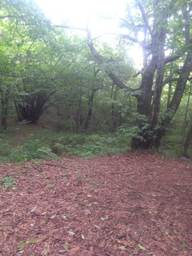 农村大山里看美景🌿主播照片