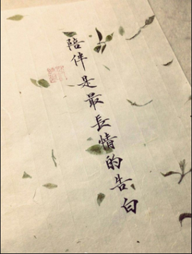 1554611743主播照片