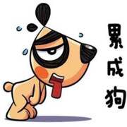 圭圭吾爱