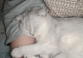 白鹿💖大庆子主播照片