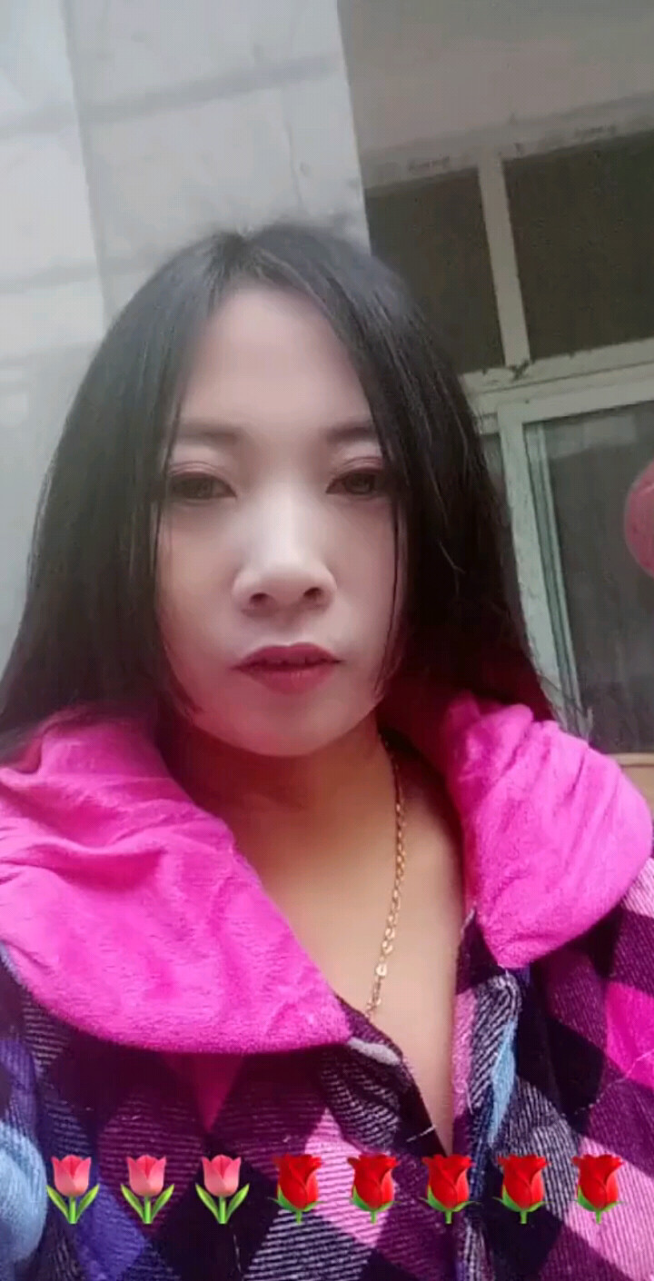 红尘情歌