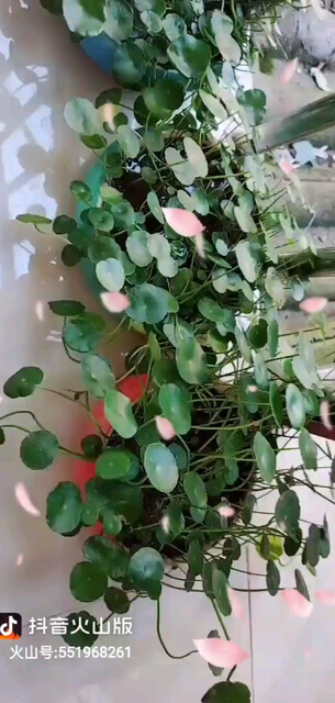 下播后的我是很宅的，
