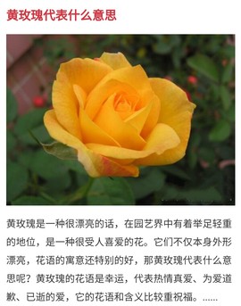 勇⑦气主播照片